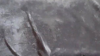 Secretary Fucked by Boss During Job Interview