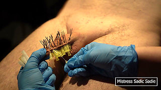 107 Needles CBT