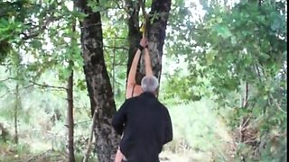 Tied up to a tree, lashed and penetrated