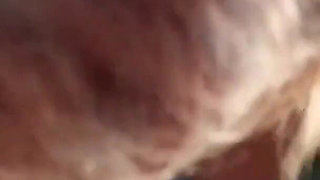 Latina Swallows Cum - Blowjob & Balls Deep Pussy Fuck