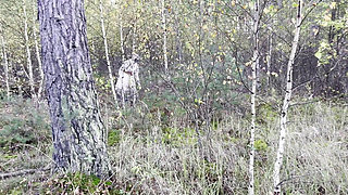 Dead by Daylight Nurse Cosplay - Alone in the Woods