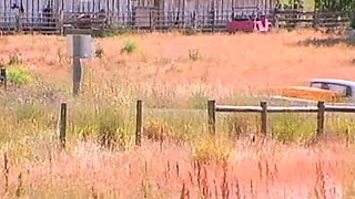 Sexy Blonde Blowjob Whore Rides Cock Hardcore