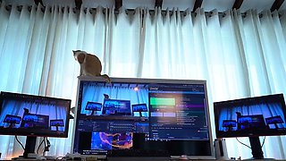 Femdom fetish babes punish dude with toy