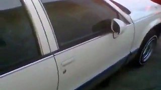 Huge Black Cock Masturbating and Cumming Outdoors
