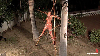 Cabo day of the dead part 4 a fantasy.