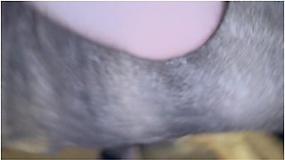 New Year New Threesome, Husband Watches Wife Get Used