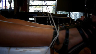 Feets Tights and Belly Tickling Domination - Bunny Looner