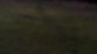 MILF Swinger Wife Scarlett March Sucks off Dogger in the Woods