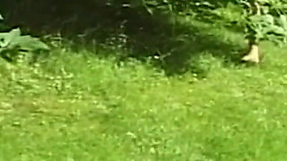 Outdoor Threesomes with Hot Ass Fucked Slut and Cumshot in Mouth by Two Big Cocks