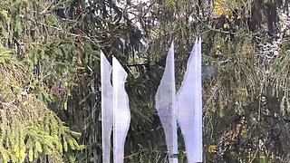 Sloppy tree house raw gargle GF cum worship swallow