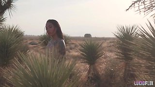 Fit Asian Baddie Enjoys A Hard Fuck In The Desert - Seth Gamble And Honey Gold