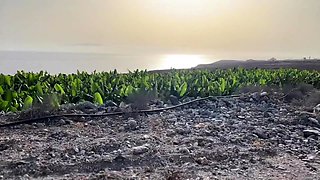 Hot Brunette Girlfriend POV Blowjob