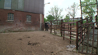 Hardcore BDSM at the farm