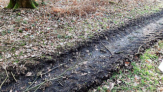 Down with the blouse, I want to hit tits