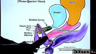 Hot blonde guy pounds petite Asian beauty in hardcore sex