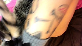 Amateur brunette ariana marie solo toying