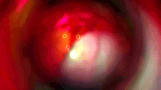 B025 Asian Beauty Tentacbondage Slave Face Sitting, Farting, Anal Licking