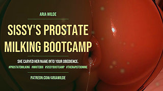 Sissys Prostate Milking Bootcamp