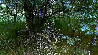 Cute blonde with big boobs solo