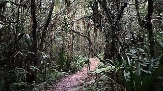 Public Forest Walk, Masturbating and Naked on Webcam