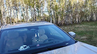 in the forest on a car