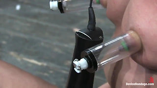 Bonus Update: Part 2 of the Nov Live Feed