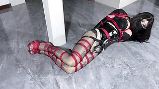 Crazy Adult Video Gags Newest Unique