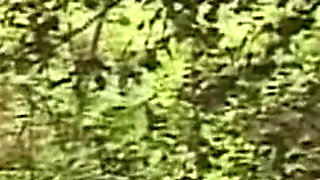 Busty Mature Brunette Teased Deep in Forest