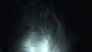 Lil Mary Night Vision Head and Tail