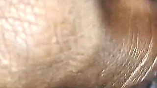 Desi Hot Bhabhivillage Girl Tight Pussy First Time XXX Video, Desi Hot Beautiful Tgirl Home Sex