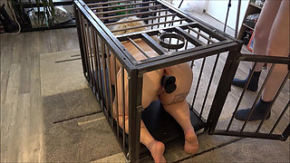 Yes, Master, I'm Yours