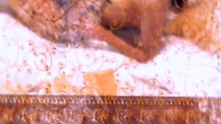 Kuchipudi Temptress Unveiled