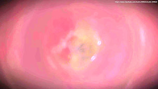 B014 Man Shrunk and Trapped in Woman's Vagina Pussy Swallowing