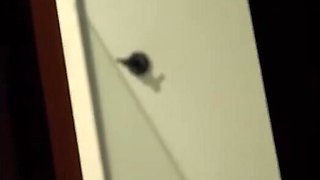 Stepbrother Towel Prank Turns into Hard Riding Session for her big ass