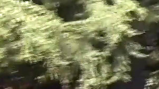 Two Beautiful Yong Sluts Ass Fucked and Cummed on Hairy Pussy by Huge Vintage Cock