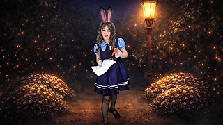 Officer's Discretion