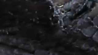 The Stepmom Greedily Sits Down on a Young Cock