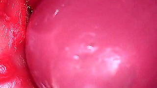 Inside a Camgirl Cervix POV Camera in Vagina with Big Dick Toy
