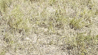 Compilation of Public Pissing in Nature! Showing Pads! POV!