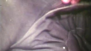 Vanessa Del Rio And Short Stud - Kinky Games