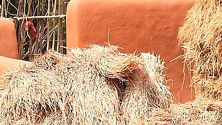 Village Girl and City Boy