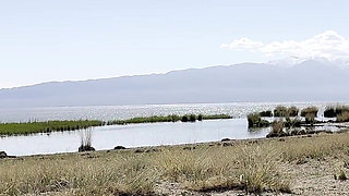 Public Pissing Compilation in Nature! Car Trip! POV!