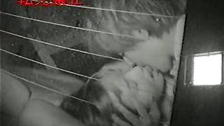 Car Sex Shoot By Infrared Camera Voyeur
