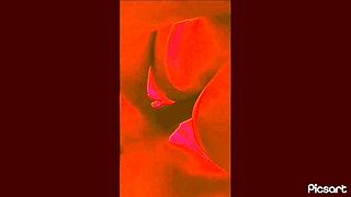 POV from behind doggy style homemade compilation