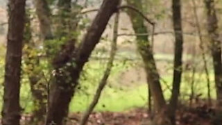 Polka Dot Skirt Babe Fucked Hard in Forest