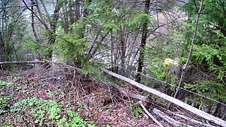 Mountain Blowjob with a Kinky Brunette