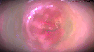 B014 Man Shrunk and Trapped in Woman's Vagina Pussy Swallowing