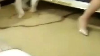 Asian japanese Hardcore amateur