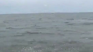 A Journey Through the Sea