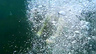 Swimming and Flashing in the Sea